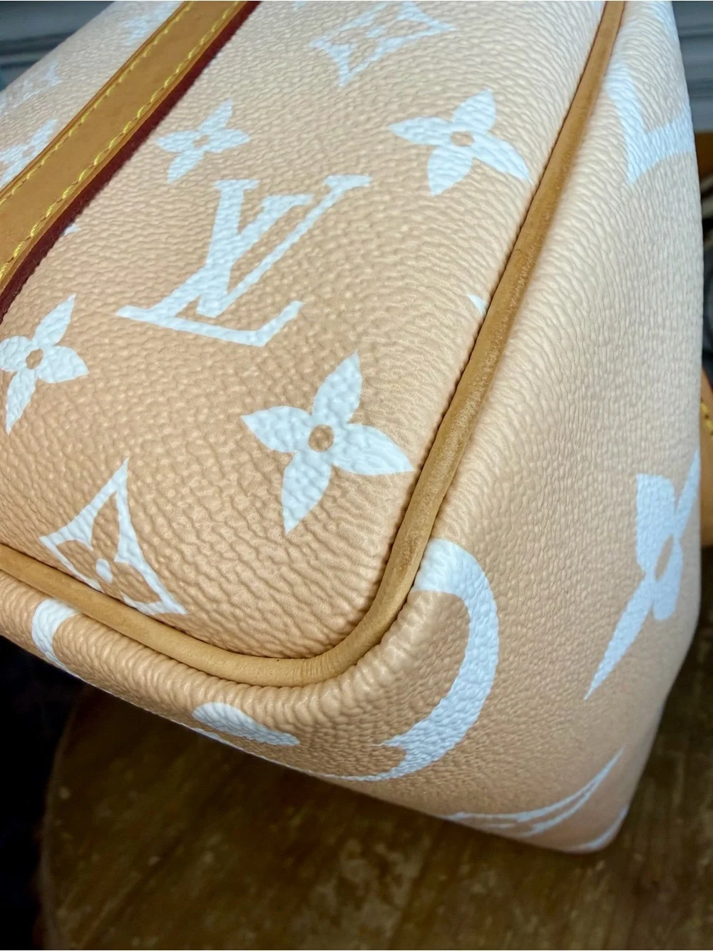 Louis Vuitton Speedy 25 By the Pool in Mist Speedy Bandoulière